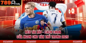 Kèo Tài Xỉu - Cách Chọn Cửa Ngon Cho Tân Thủ Trong 2025